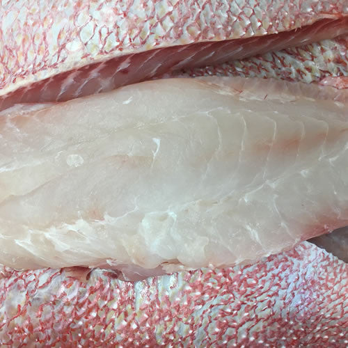 Red Emperor Fresh Australian Stoney the Fishmonger