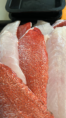Coral trout Australian