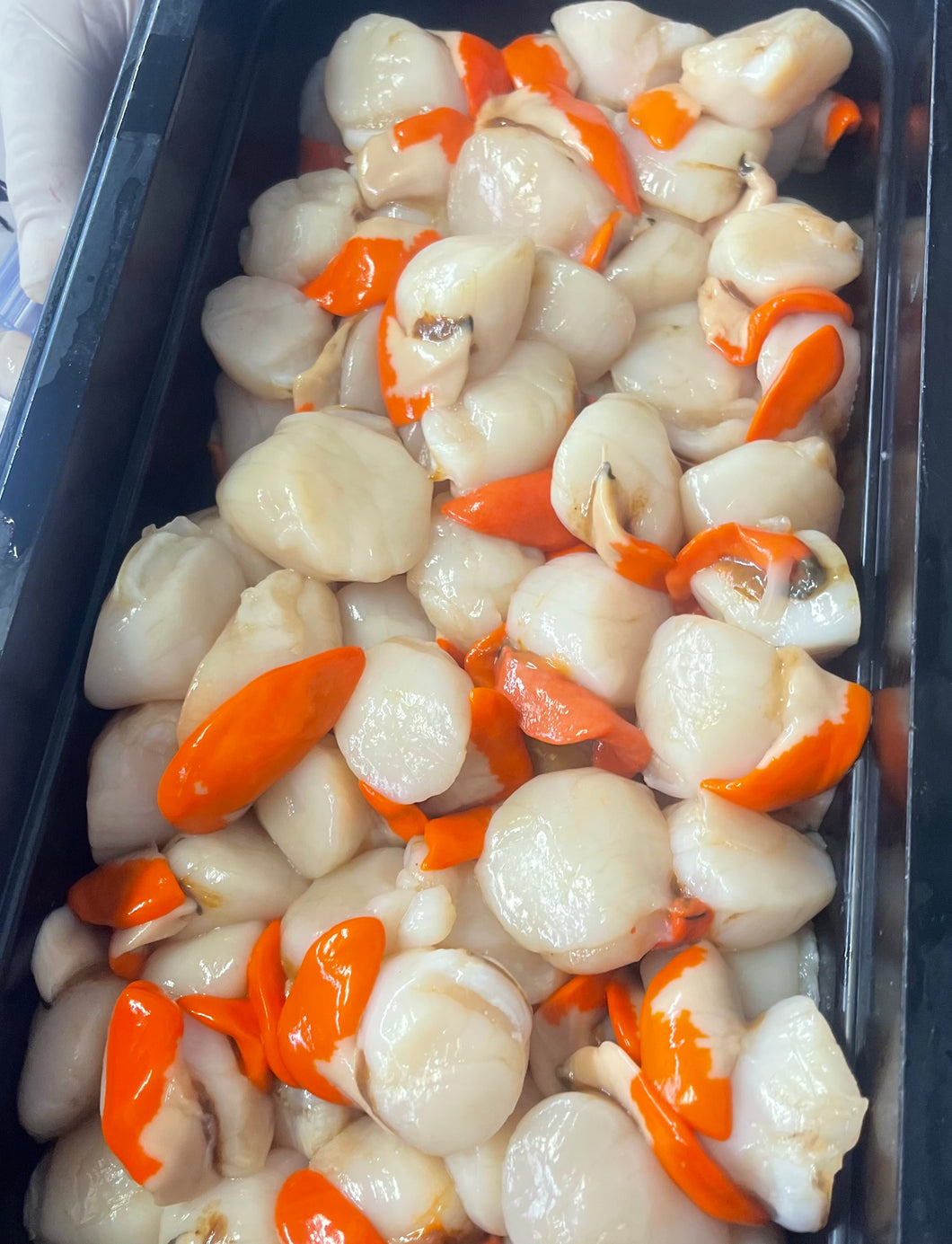 Scallop Meat - Tasmanian