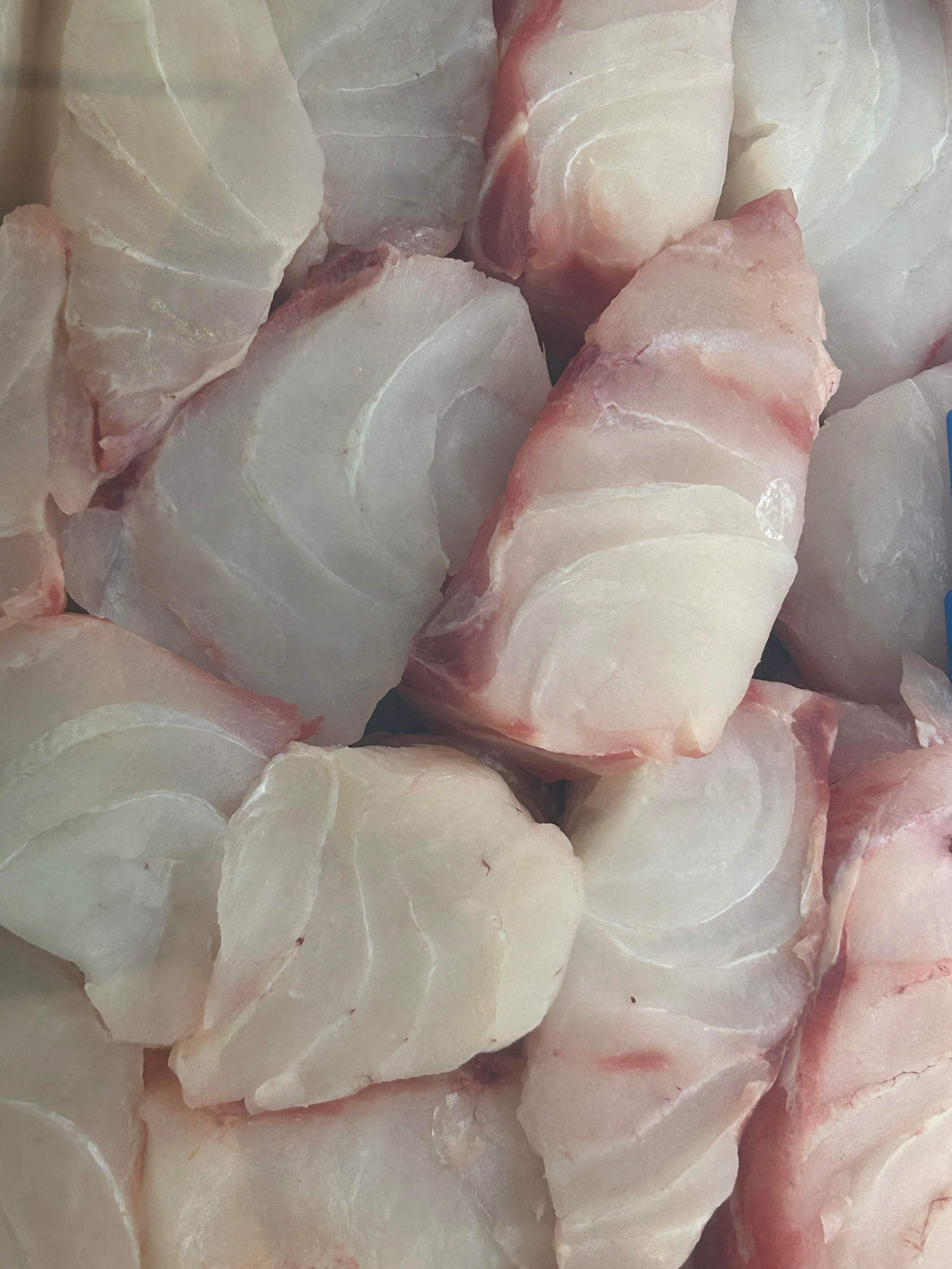 Reef Cod fillets