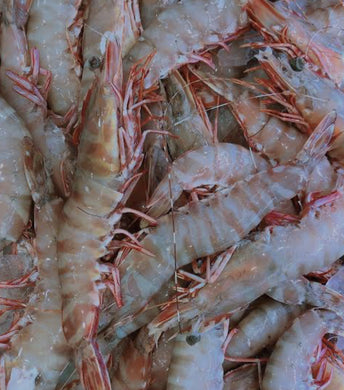 Prawns Large Green Tiger Bulk Buy