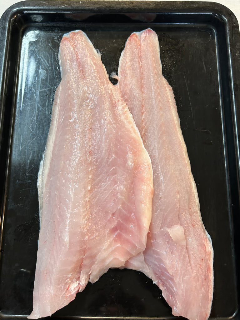 Murray Cod fillets – Stoney the Fishmonger