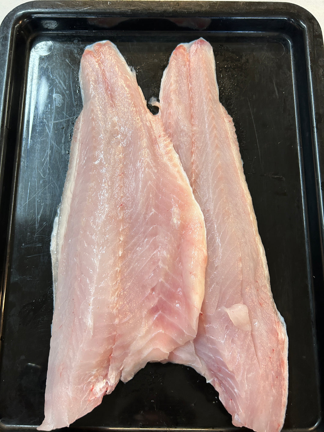 Murray Cod fillets