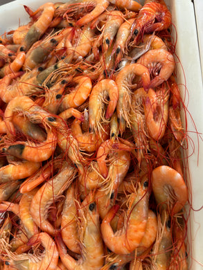 Prawns Fresh Mix Queensland