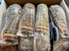 XL Lobster Tails Green