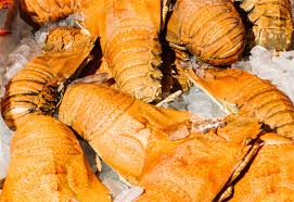 Moreton Bay Bugs cooked  - Queensland