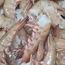 Prawns Headless 5kg ctn