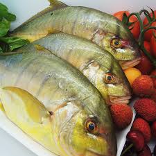 Aus Trevally whole