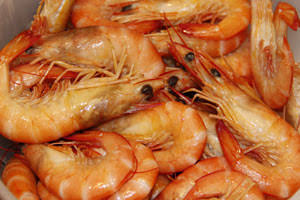 Prawns Endeavour Bulk Buy Aus