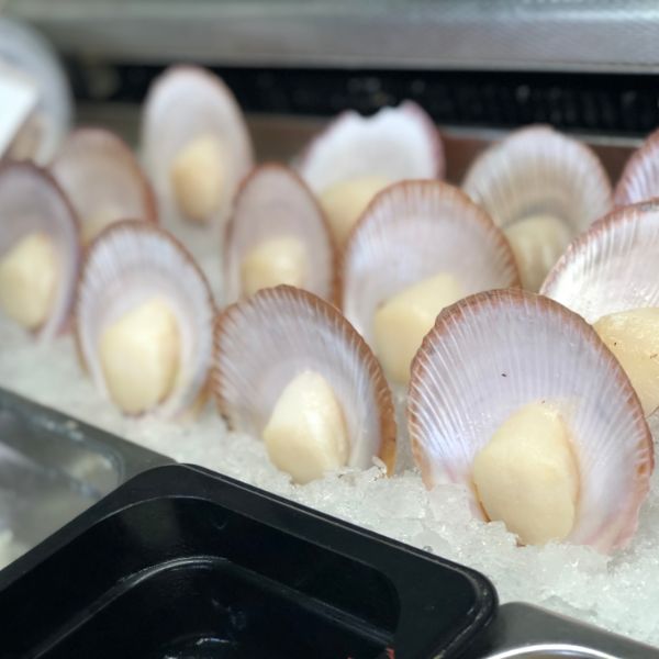 Scallops Roe Off Scallop Roe/Off 1/2 Shell – Stoney the Fishmonger