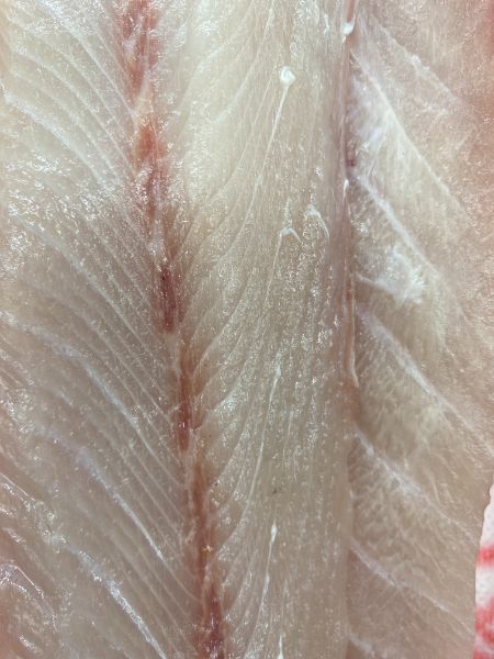 Kingfish - Sashimi Cut
