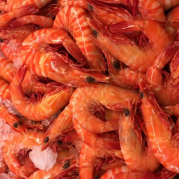Prawns Tiger Medium Aus