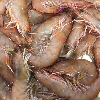 Prawns Large whole - Queensland Green